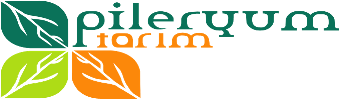 Pileryum logo